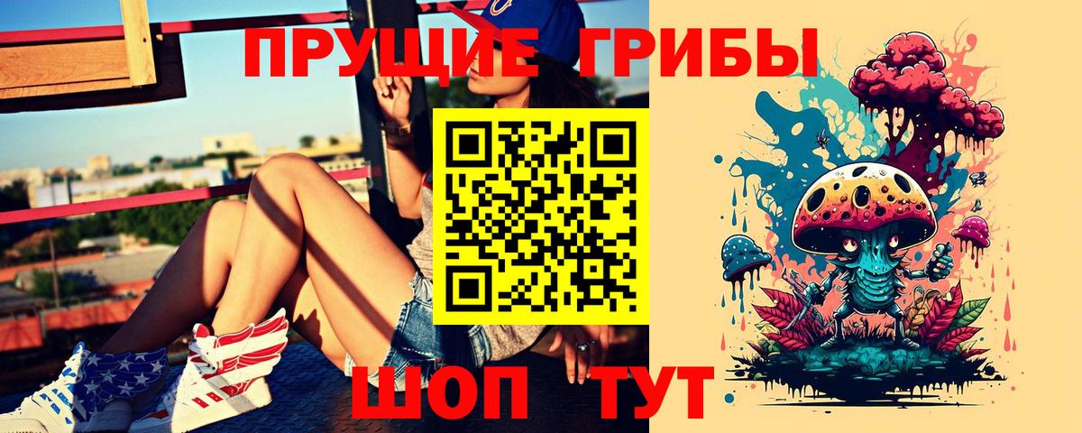 Псилоцибиновые грибы Psilocybine cubensis  Псилоцибиновые грибы Psilocybe  Вход с VPN  Вышний Волочёк 